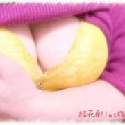 ヒメ日記 2025/12/28 12:42 投稿 結花(ゆか) PLUS梅田店