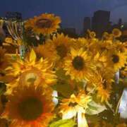 ヒメ日記 2025/08/28 10:11 投稿 まみ 池袋マリン別館