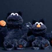 ヒメ日記 2025/10/19 07:35 投稿 まみ 池袋マリン別館