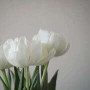 ヒメ日記 2025/11/13 08:18 投稿 まみ 池袋マリン別館