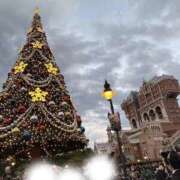 ヒメ日記 2025/11/25 07:25 投稿 まみ 池袋マリン別館