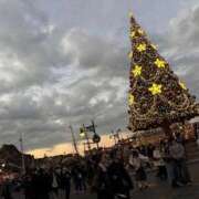 ヒメ日記 2025/12/12 11:45 投稿 まみ 池袋マリン別館