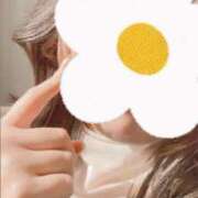 ヒメ日記 2025/03/15 13:19 投稿 かな 池袋しろパラ