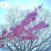 ヒメ日記 2025/03/19 15:01 投稿 ひさや One More 奥様　錦糸町店