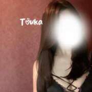 白川　とうか 久❤️ PLATINA R-30（すすきの）