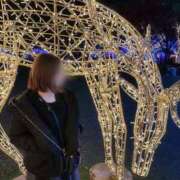 ヒメ日記 2026/01/18 00:18 投稿 夢　ねね シャトールーブル