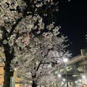 ヒメ日記 2025/04/08 21:44 投稿 はづき Hip's千葉駅前店