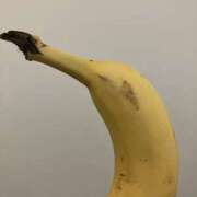 ヒメ日記 2025/04/22 18:14 投稿 はづき Hip's千葉駅前店