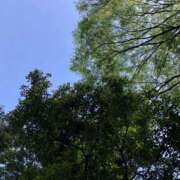 ヒメ日記 2025/05/19 23:14 投稿 はづき Hip's千葉駅前店