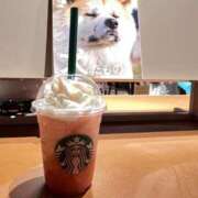 春(はる) 今日は14時から 相模原人妻城