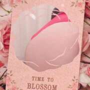 ヒメ日記 2025/05/01 10:16 投稿 たまよ 熟女家 京橋店