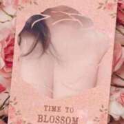 ヒメ日記 2025/05/26 09:10 投稿 たまよ 熟女家 京橋店