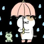 ヒメ日記 2026/02/25 09:00 投稿 青木 人妻風俗チャンネル