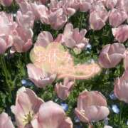 ヒメ日記 2025/06/04 09:27 投稿 すずな 相模原のおばちゃんデリヘル  オバタリAnn