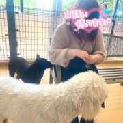 ヒメ日記 2025/07/18 22:01 投稿 すずな 相模原のおばちゃんデリヘル  オバタリAnn