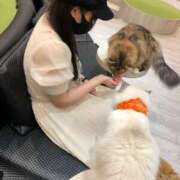 ヒメ日記 2025/05/09 17:45 投稿 セナ ソープランドMAX‐マックス- 浅草店