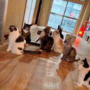 ヒメ日記 2025/06/09 12:45 投稿 セナ ソープランドMAX‐マックス- 浅草店