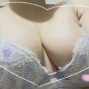 ヒメ日記 2025/08/01 10:22 投稿 このみ 白いぽっちゃりさん