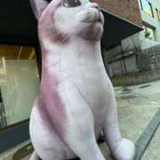 ヒメ日記 2025/06/07 06:48 投稿 ななせ【MTX】【体験入店】 ソープランド AQUA（アクア）