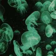 ヒメ日記 2025/12/19 22:28 投稿 ななせ【MTX】【体験入店】 ソープランド AQUA（アクア）