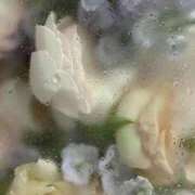 ヒメ日記 2026/01/26 16:53 投稿 ななせ【MTX】【体験入店】 ソープランド AQUA（アクア）