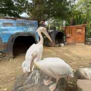 ヒメ日記 2026/02/23 23:28 投稿 ななせ【MTX】【体験入店】 ソープランド AQUA（アクア）