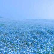 ヒメ日記 2026/04/18 23:24 投稿 ななせ【MTX】【体験入店】 ソープランド AQUA（アクア）