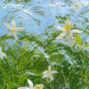 ヒメ日記 2026/08/28 22:08 投稿 ななせ【MTX】【体験入店】 ソープランド AQUA（アクア）