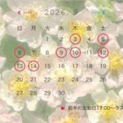 ヒメ日記 2026/09/05 12:03 投稿 ななせ【MTX】【体験入店】 ソープランド AQUA（アクア）