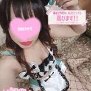 ヒメ日記 2025/11/03 20:58 投稿 星見 渋谷人妻城