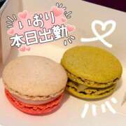 ヒメ日記 2025/03/25 11:50 投稿 いおり 横浜HANDS（ハンズ）（ユメオト）