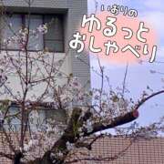 ヒメ日記 2025/05/04 23:03 投稿 いおり 横浜HANDS（ハンズ）（ユメオト）