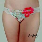 ヒメ日記 2025/09/07 14:49 投稿 さやか ぐっどがーる浜松店