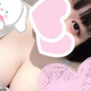 ヒメ日記 2025/03/18 10:32 投稿 こはる 名古屋ちゃんこ