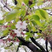 優香(ゆうか) 🌿‬ グランドオペラ東京