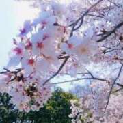 ヒメ日記 2025/03/31 15:28 投稿 べに 即アポ奥さん～浜松店～