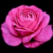 ヒメ日記 2025/05/09 17:24 投稿 べに 即アポ奥さん～浜松店～