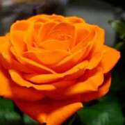 ヒメ日記 2025/05/23 18:41 投稿 べに 即アポ奥さん～浜松店～