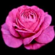 ヒメ日記 2025/09/04 17:24 投稿 べに 即アポ奥さん～浜松店～