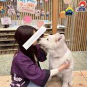 ヒメ日記 2025/03/16 16:45 投稿 優木 あいか ライオンズクラブ