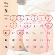 ヒメ日記 2025/04/24 12:04 投稿 優木 あいか ライオンズクラブ