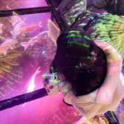 ヒメ日記 2026/04/06 11:09 投稿 ひなた スピードエコ日本橋店