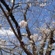 ヒメ日記 2025/04/06 18:15 投稿 みれい♪ プリティーガール