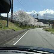 ヒメ日記 2025/04/08 13:06 投稿 紗由 モアグループ所沢人妻城