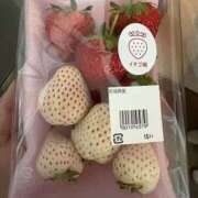 ヒメ日記 2025/04/13 07:21 投稿 紗由 モアグループ所沢人妻城