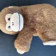 ヒメ日記 2025/04/26 09:21 投稿 紗由 モアグループ所沢人妻城