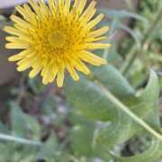 ヒメ日記 2025/05/03 09:03 投稿 紗由 モアグループ所沢人妻城