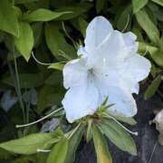 ヒメ日記 2025/05/09 06:03 投稿 紗由 モアグループ所沢人妻城