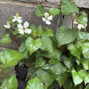 ヒメ日記 2025/05/31 09:18 投稿 紗由 モアグループ所沢人妻城