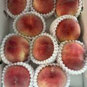 ヒメ日記 2025/07/03 15:06 投稿 紗由 モアグループ所沢人妻城